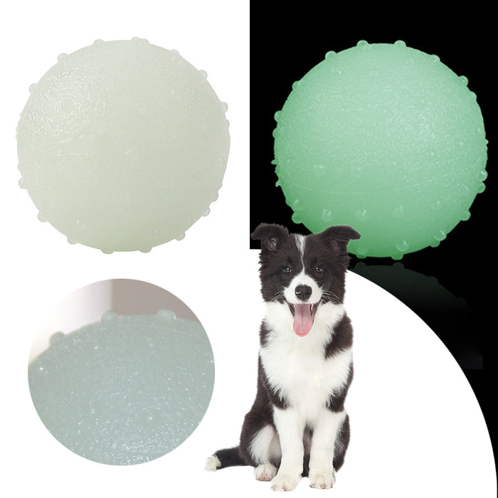 Interactive pet glow ball