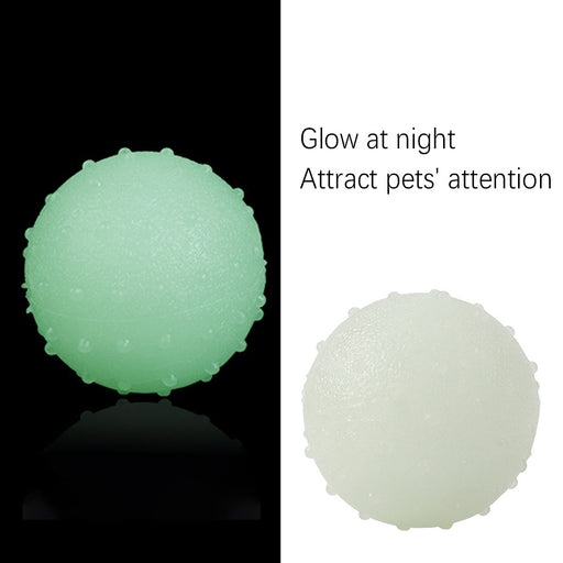 Interactive pet glow ball