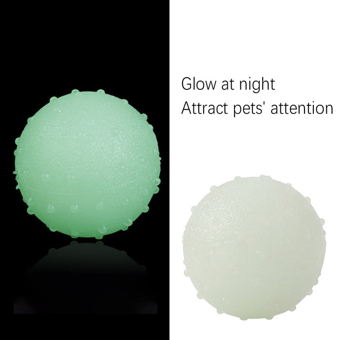 Interactive pet glow ball
