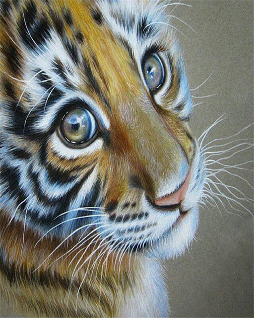 Tiger Kit DIY Photo Frame Picture By Number Animal Hand-painted Art Gift Home Decoration